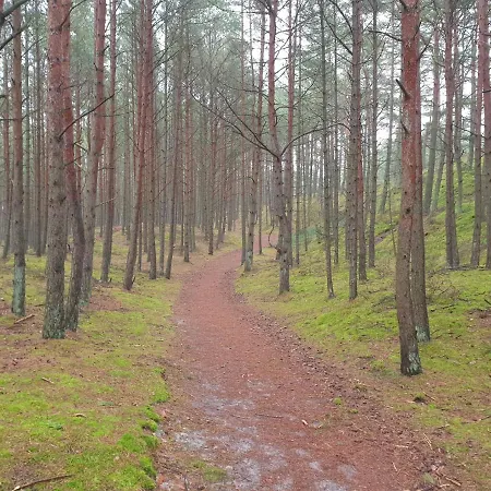 Sunset Nadmorska 100a 36