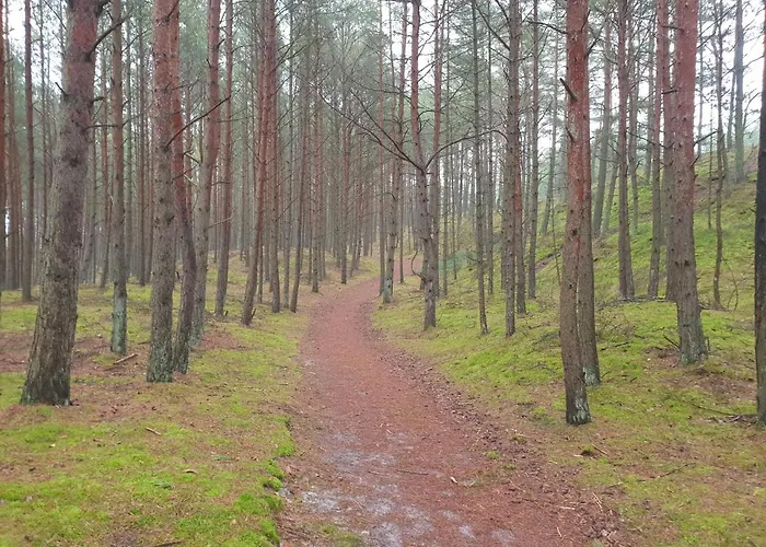 Sunset Nadmorska 100a 36