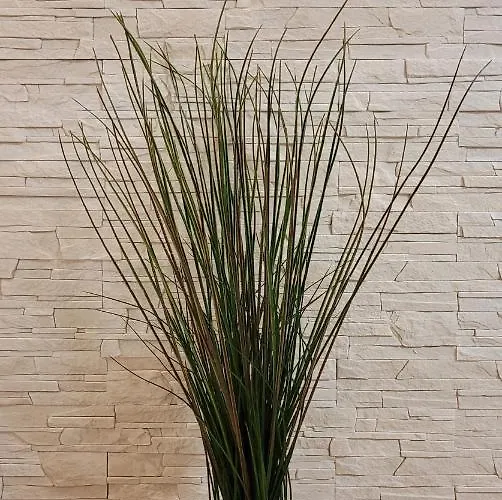 Sunset Nadmorska 100a 36 *